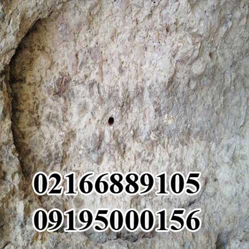 روش های تشخیص ساروج