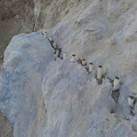 اسید ضد سنگ