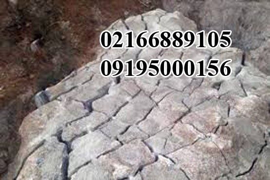 کتراک تابستانی